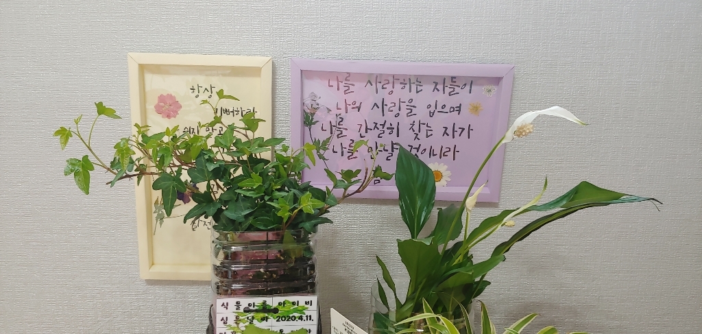 [바보사랑] 압화종합