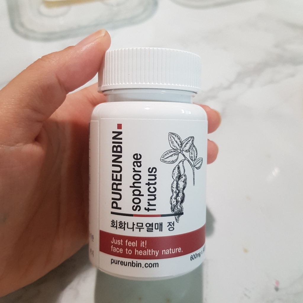 푸른빈 회화나무열매 정