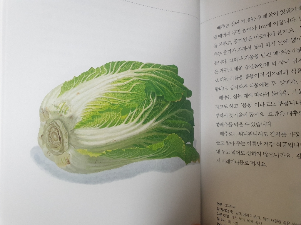 식물 도감:초등학교 전 학년 전 과목 교과서에서 뽑은 160가지 식물 이야기