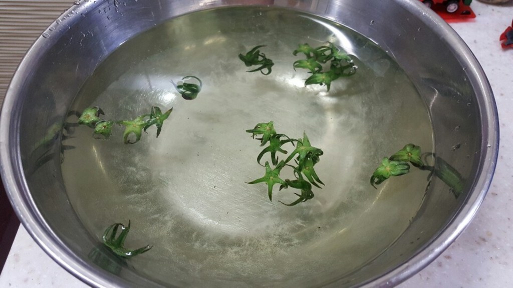 퓨리큐 칼슘파우더 천연과일야채 잔류농약제거제 리뷰후기