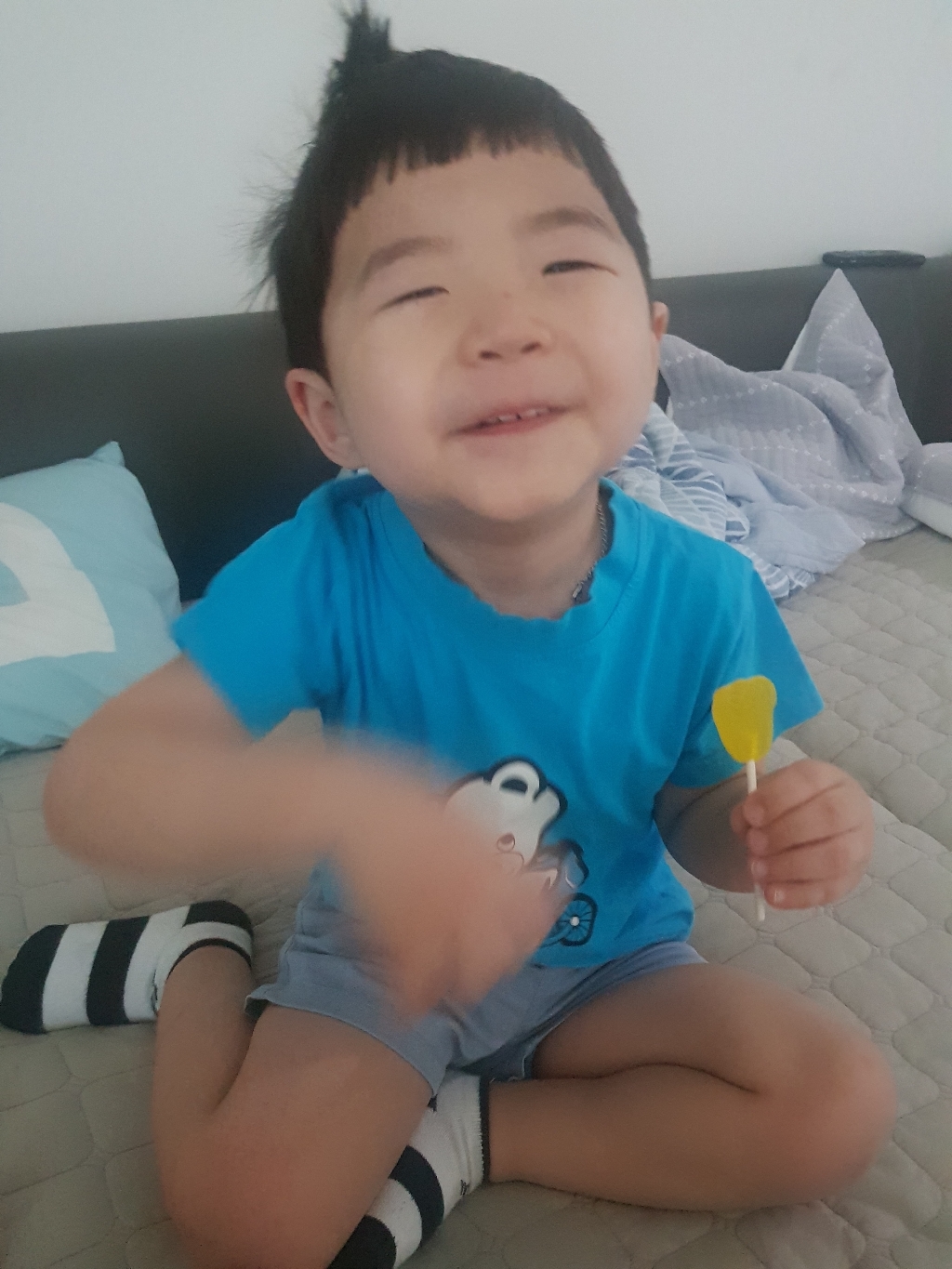 닥터존스 클래식 프루트 리팝 치아모양