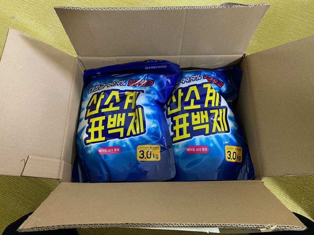 탐사 표백제