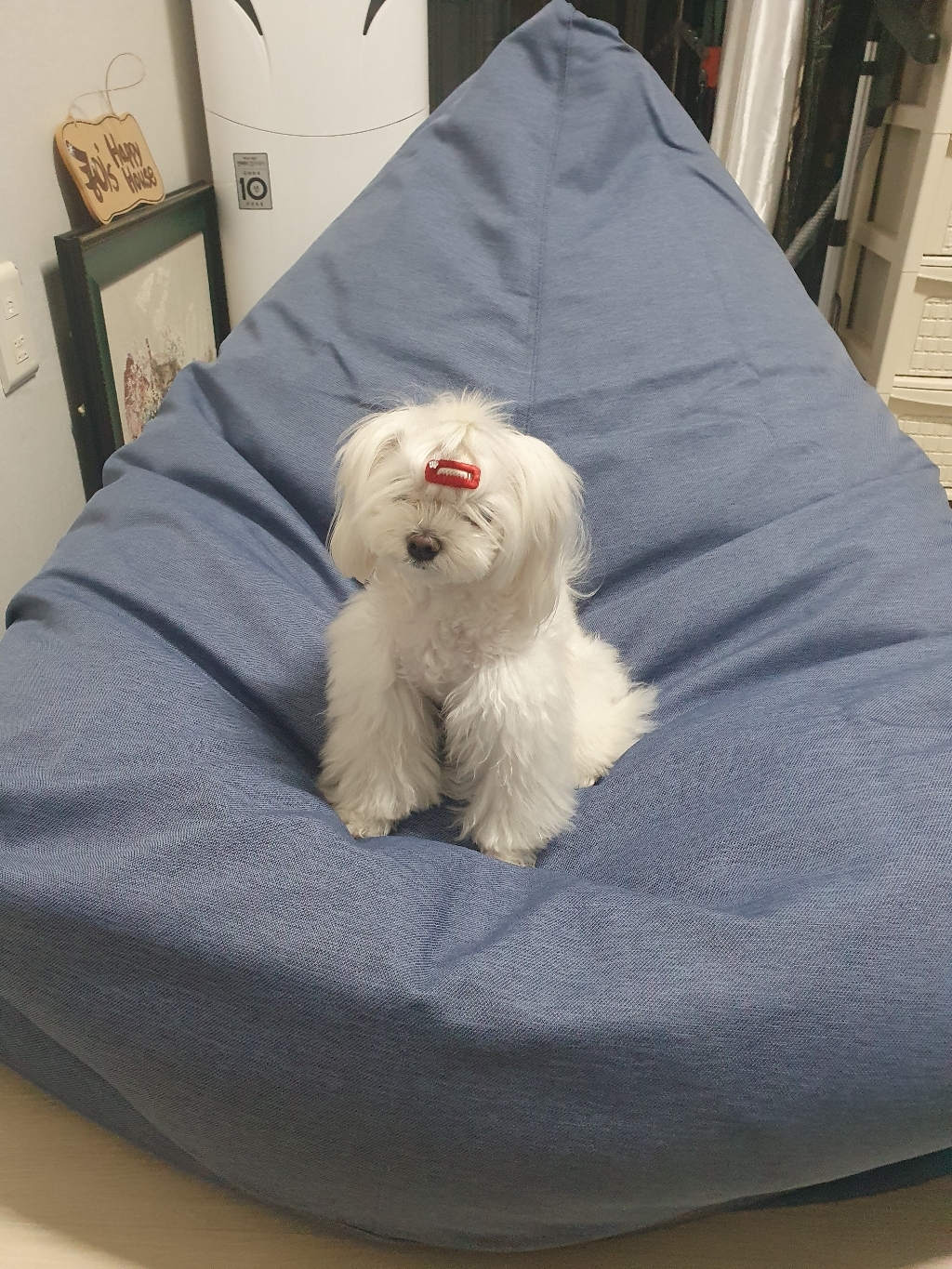 폴리몰리 빈백 풋스툴 701K 기본속커버 리뷰후기