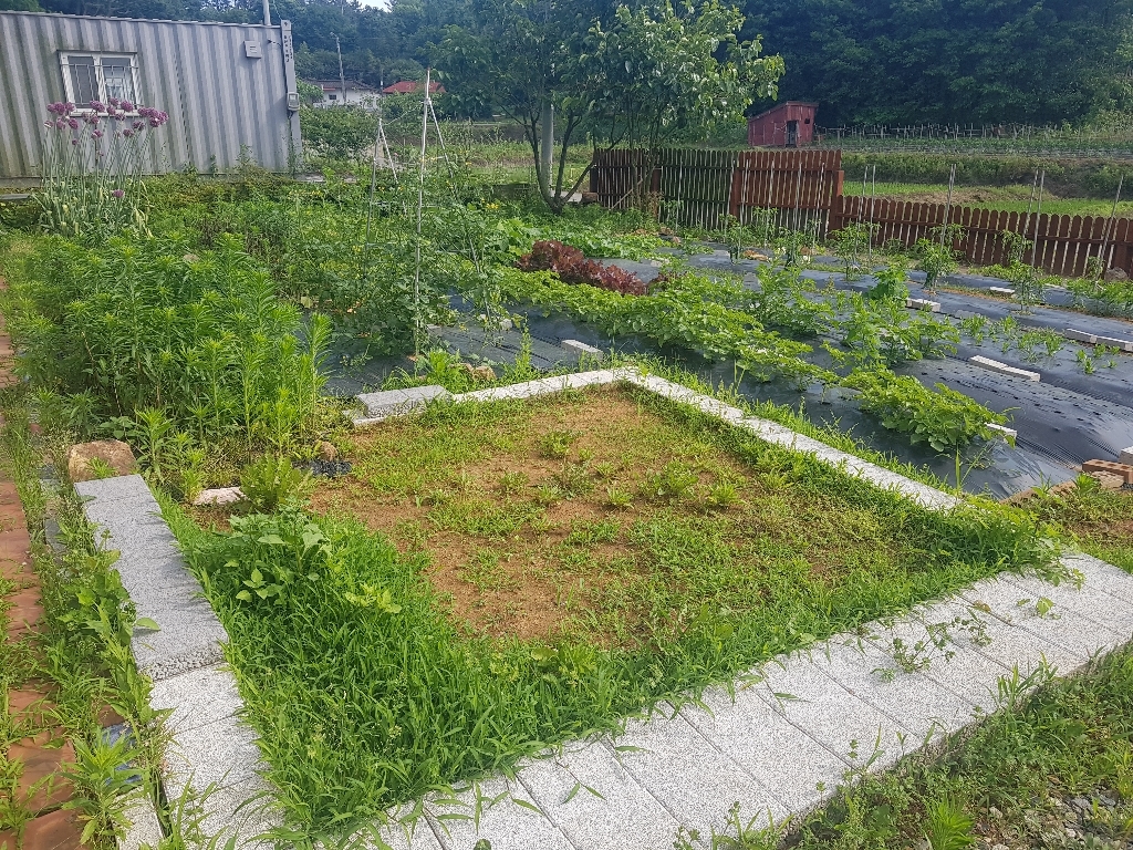 아름매트 국내산 무독성 인조잔디 PX2800 리뷰후기