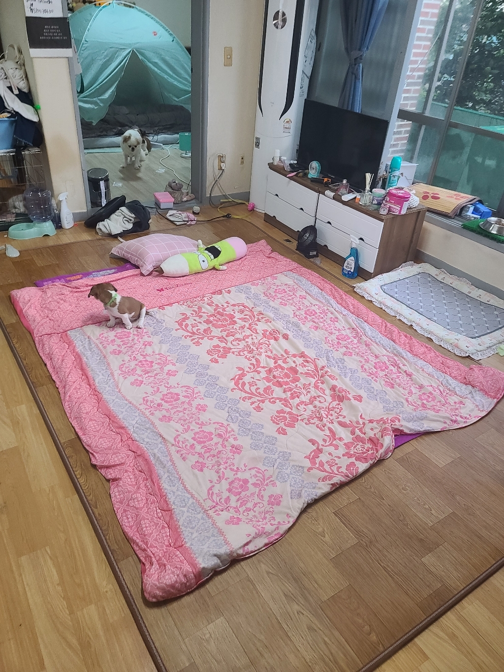 한일생활과학 프리미엄 거실 전기 장판 매트 바닥 환경르몬 라돈안심 전기매트