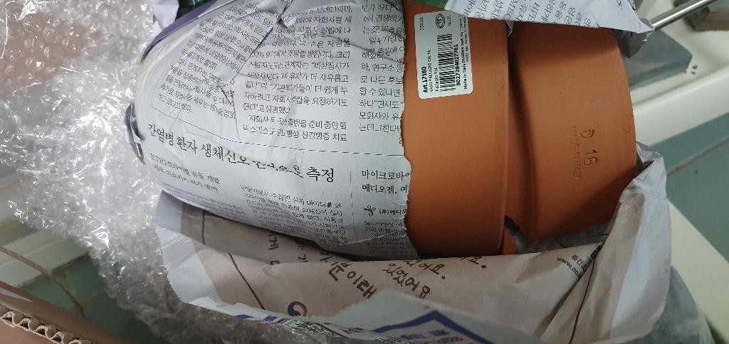 도시정원 바소 팔라디오 스텐다드 토분 리뷰후기