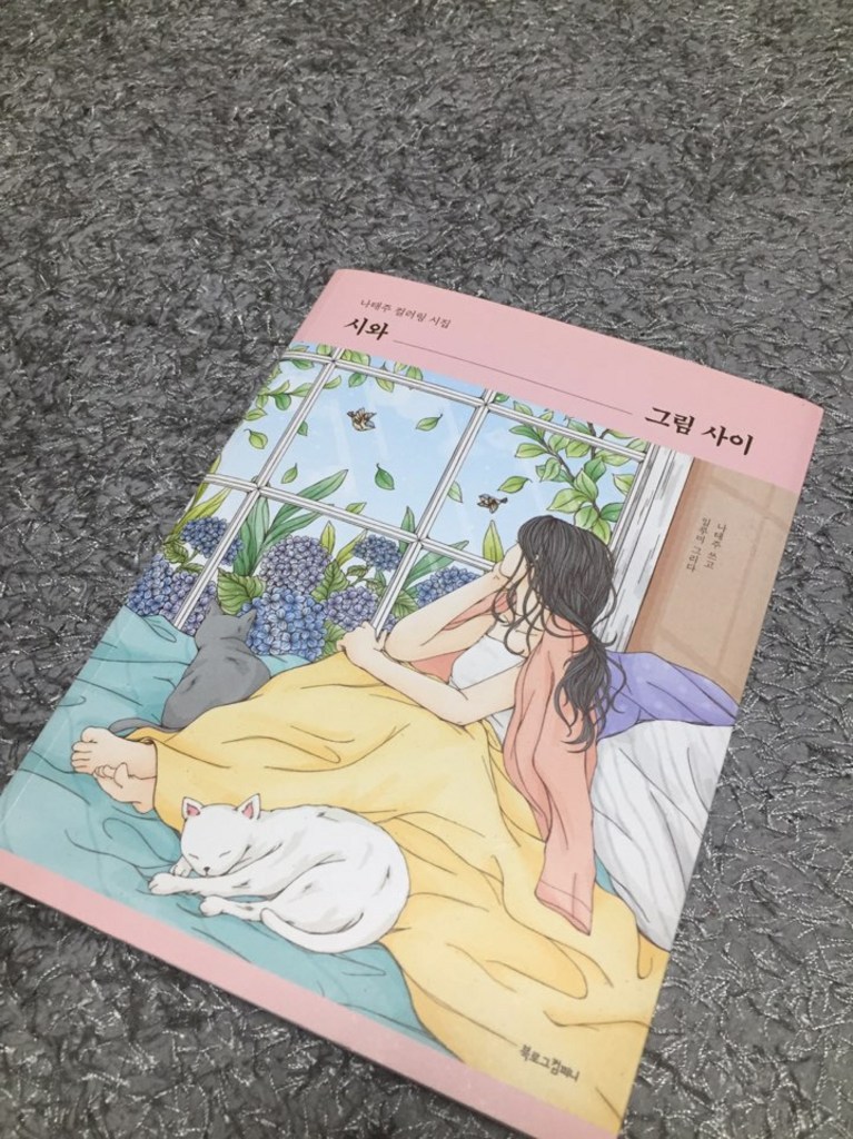 시와 그림 사이:나태주 컬러링 시집