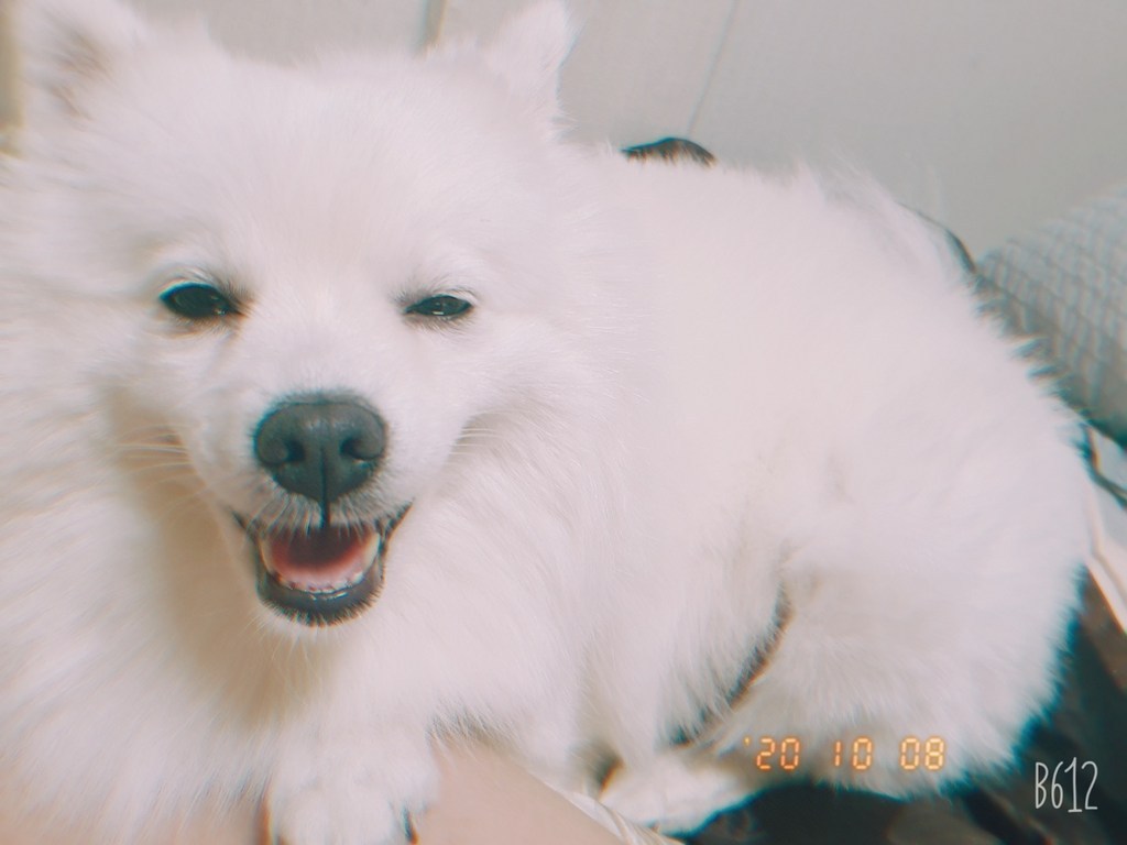 온도계