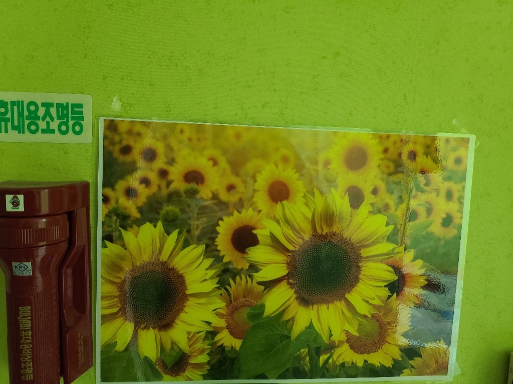 풍수 해바라기 그림 가로형03
