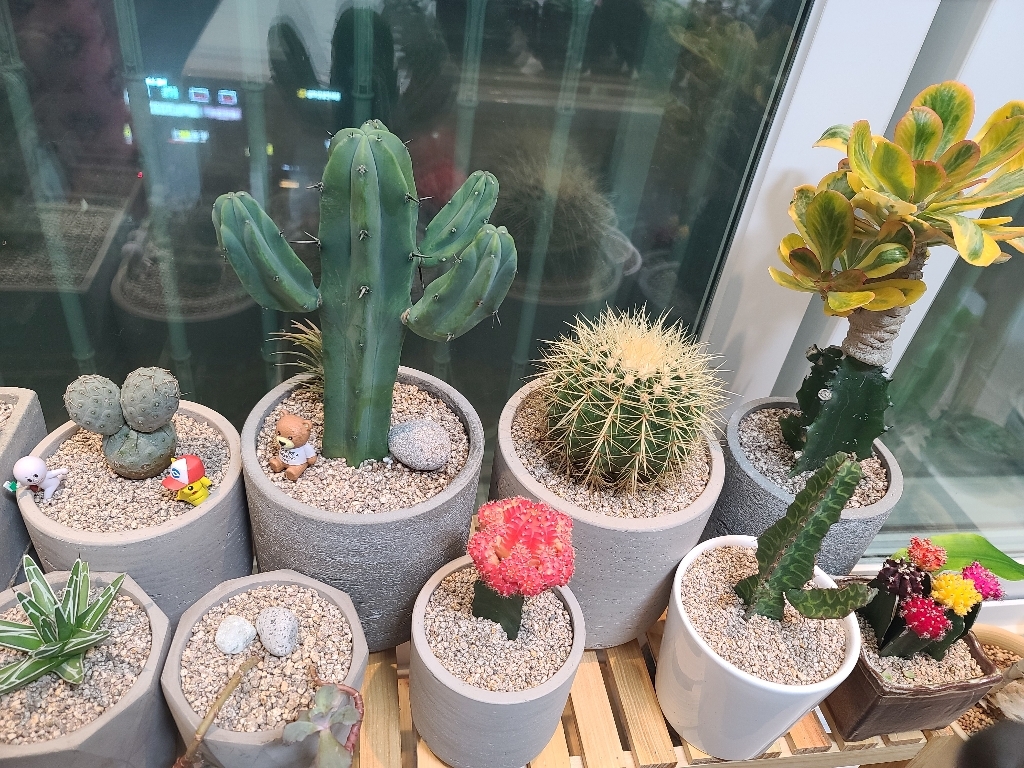연이네리틀팜 에스라이트 리뷰 후기