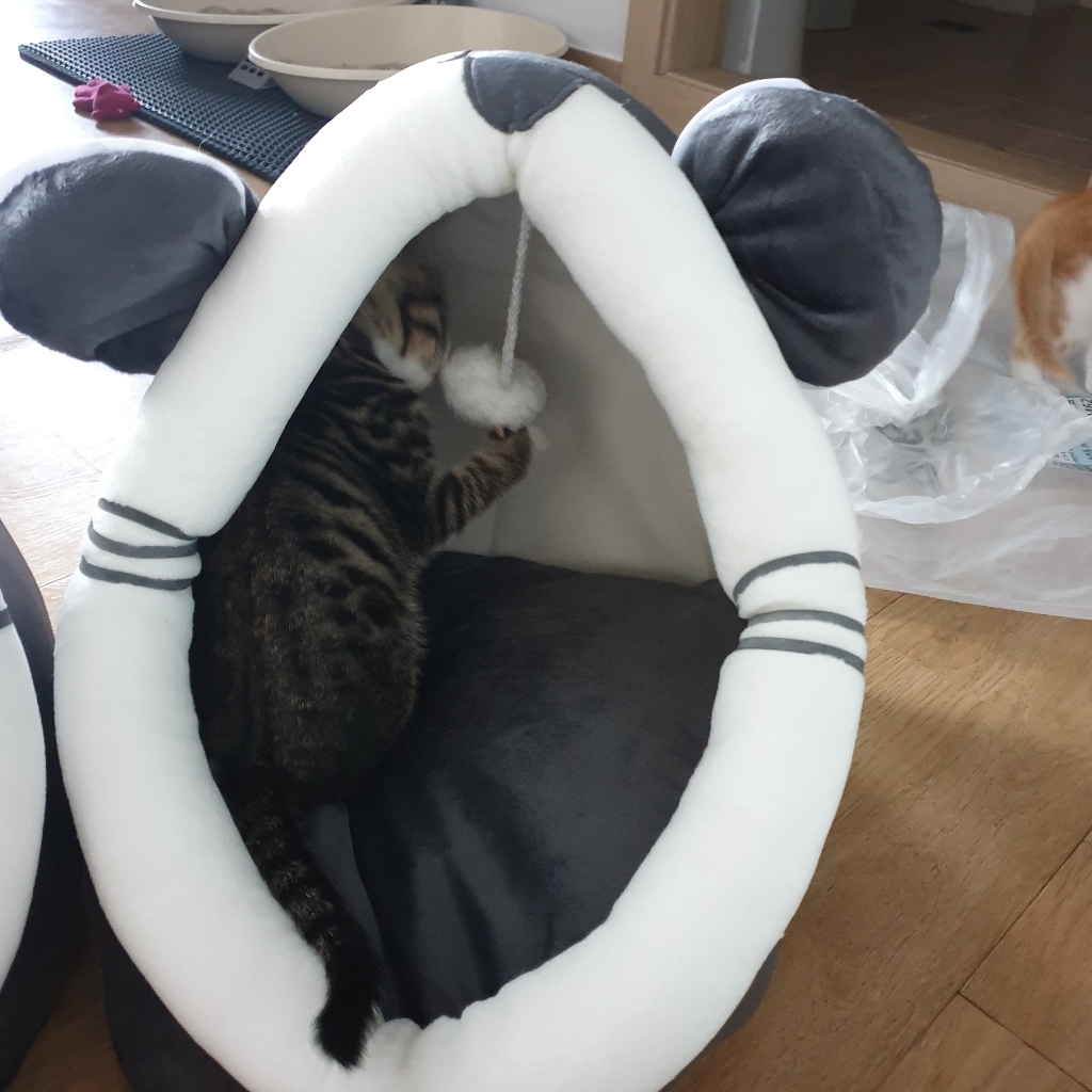 행복한댕냥이 고양이 숨숨집 하우스