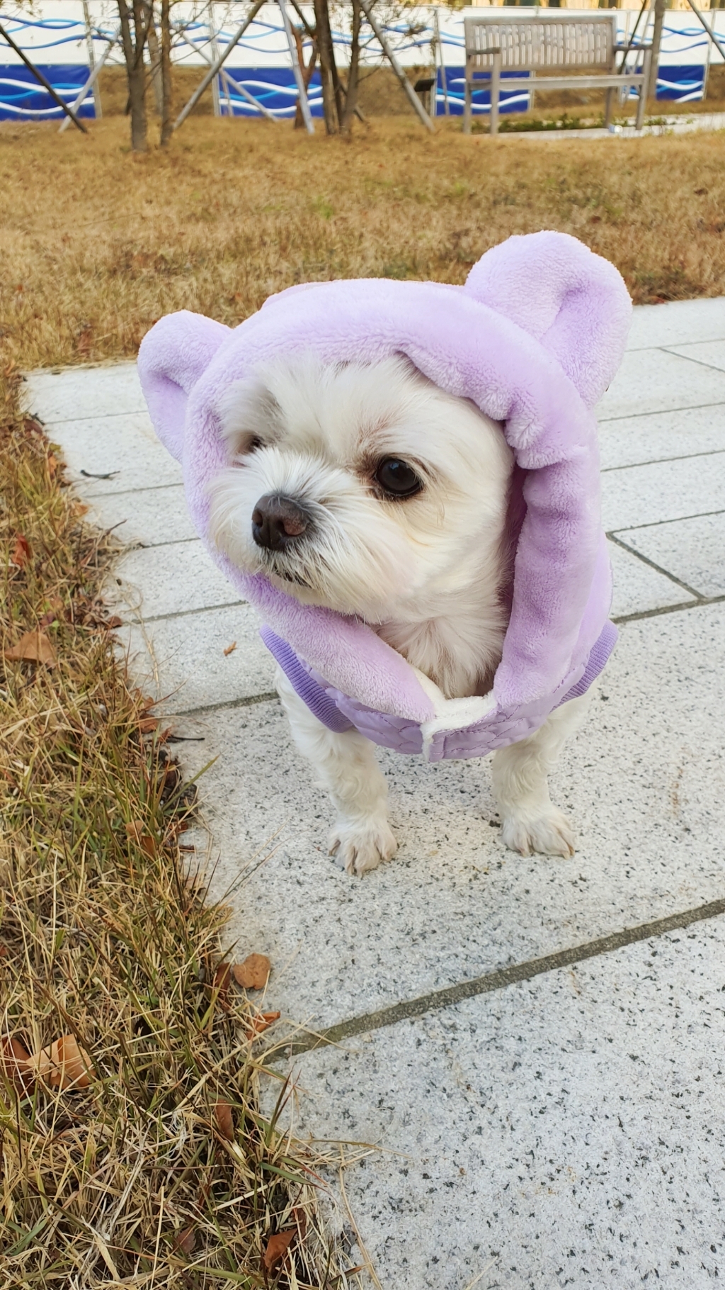 토끼 털후드 패딩 조끼 강아지옷