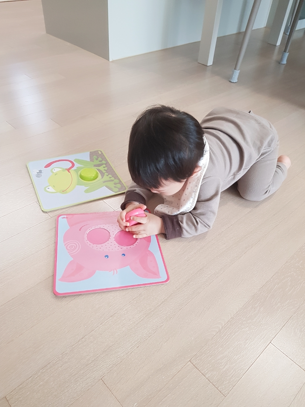 하바 동물 색상 맞추기 게임
