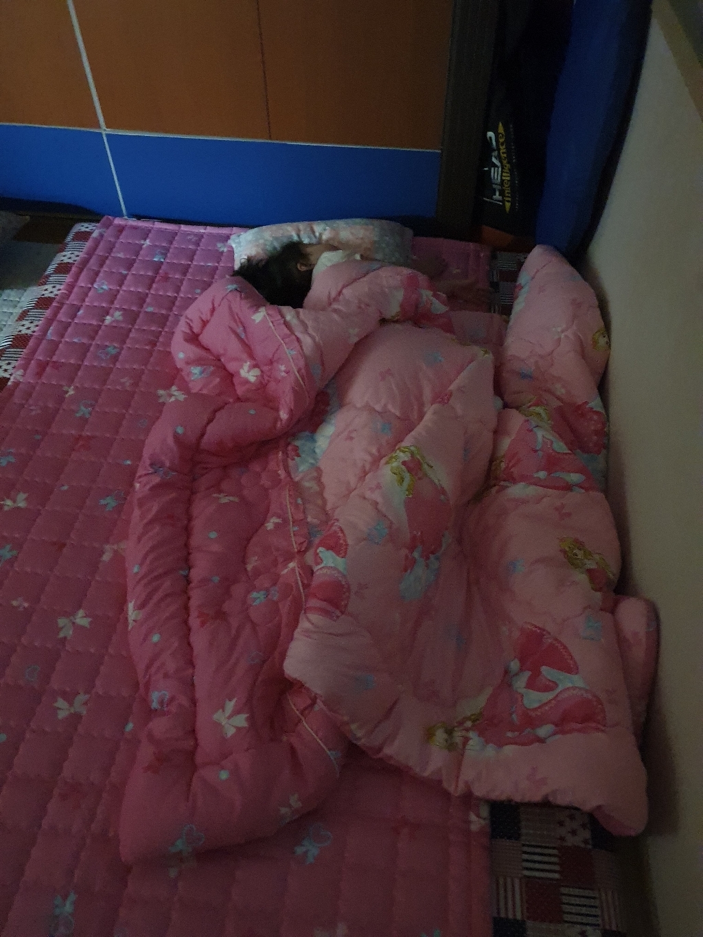 까나베나 프린세스 순면 아동 차렵이불 패드 베개커버