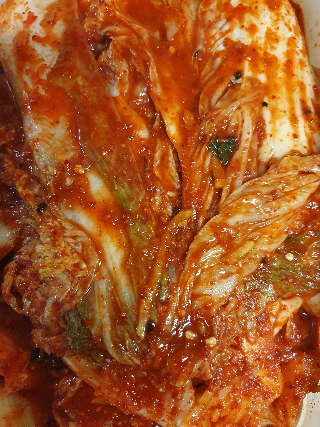 옐로김치 전라도김치 국내산 배추 김장 포기김치