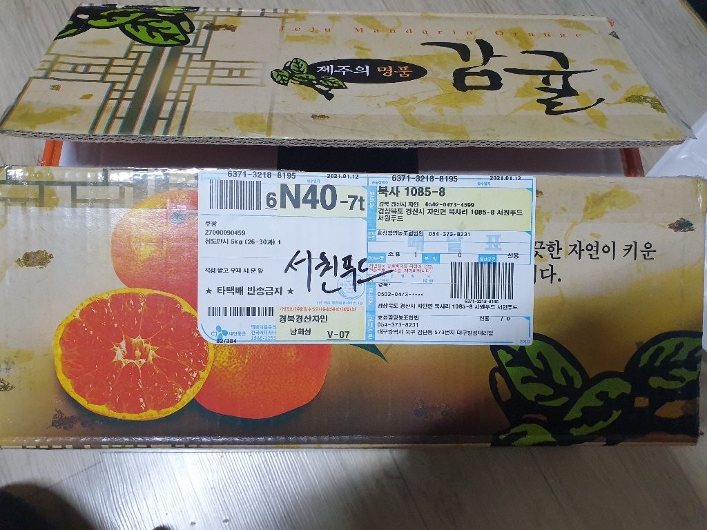 가을제철 씨없는 청도 반시 홍시 리뷰후기