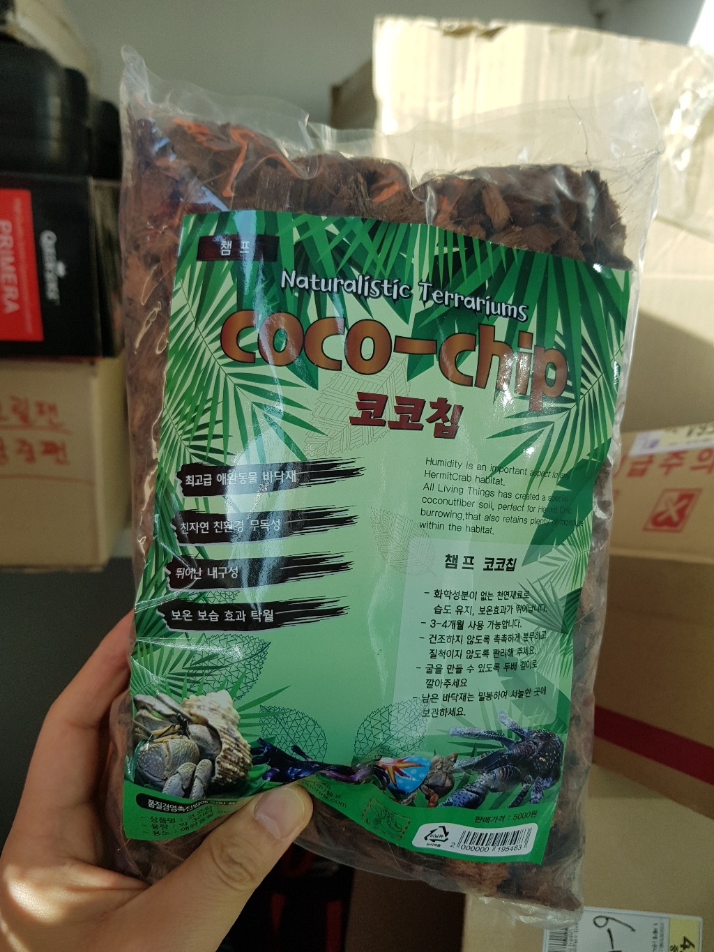 핀 코코칩 소라게 바닥재