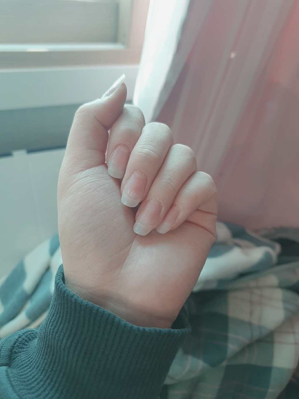 메이브라운 살롱용노웰 손톱연장 반 네일팁 10종