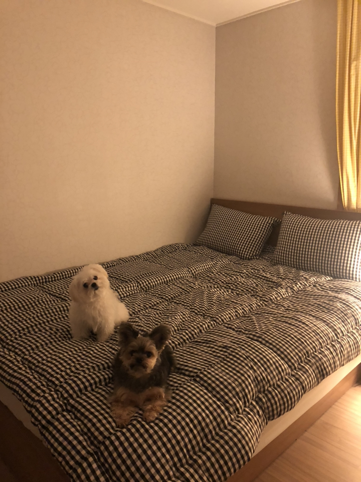 밍밍밍 포근해요 세미마이크로 침구풀세트 이불패드베개커버