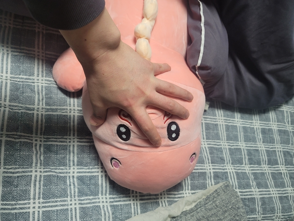 가팡 공룡 바디필로우