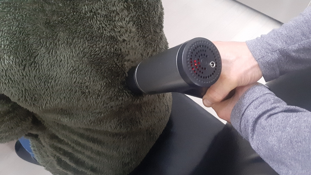 [쿠팡수입] 시프이컴 무선 전동 전신 마사지건 그레이 CIF-S