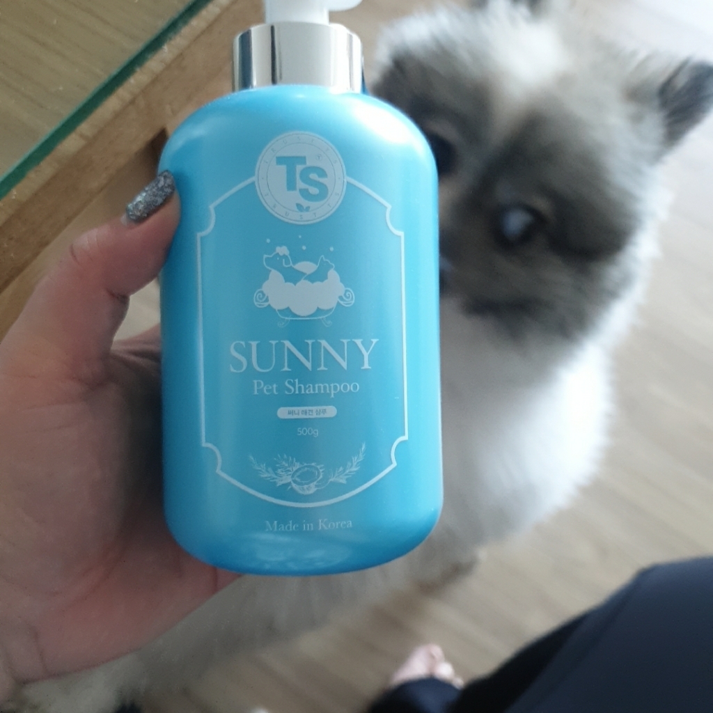 TS써니애견샴푸 강아지올인원샴푸 베이비파우더 리뷰후기