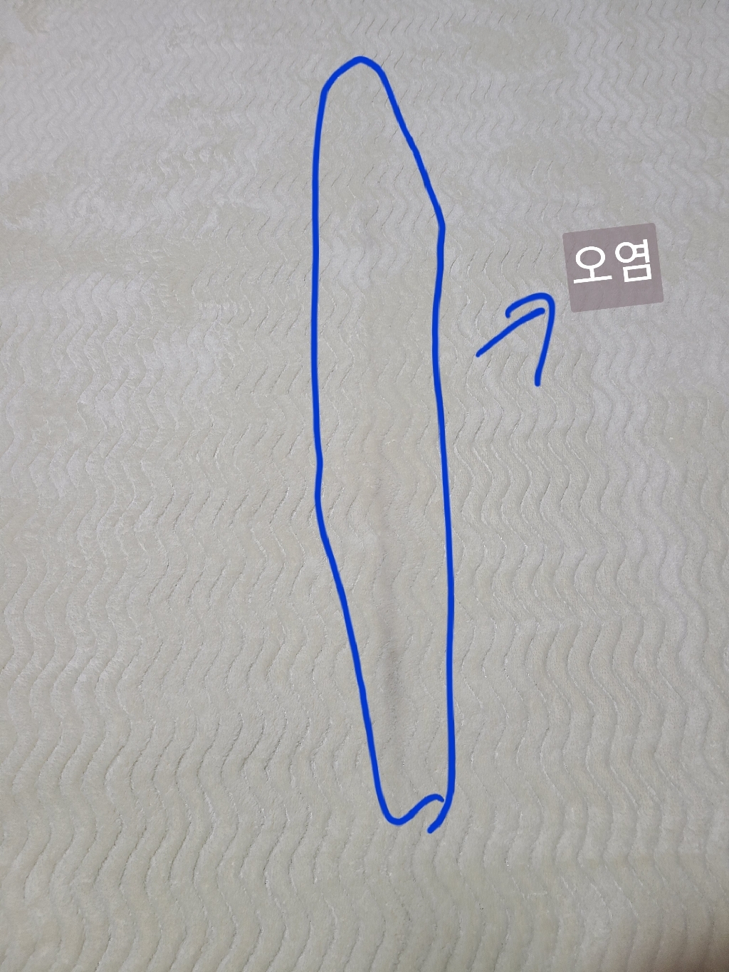 이니띠움 쉐브론 러그카페트 리뷰후기