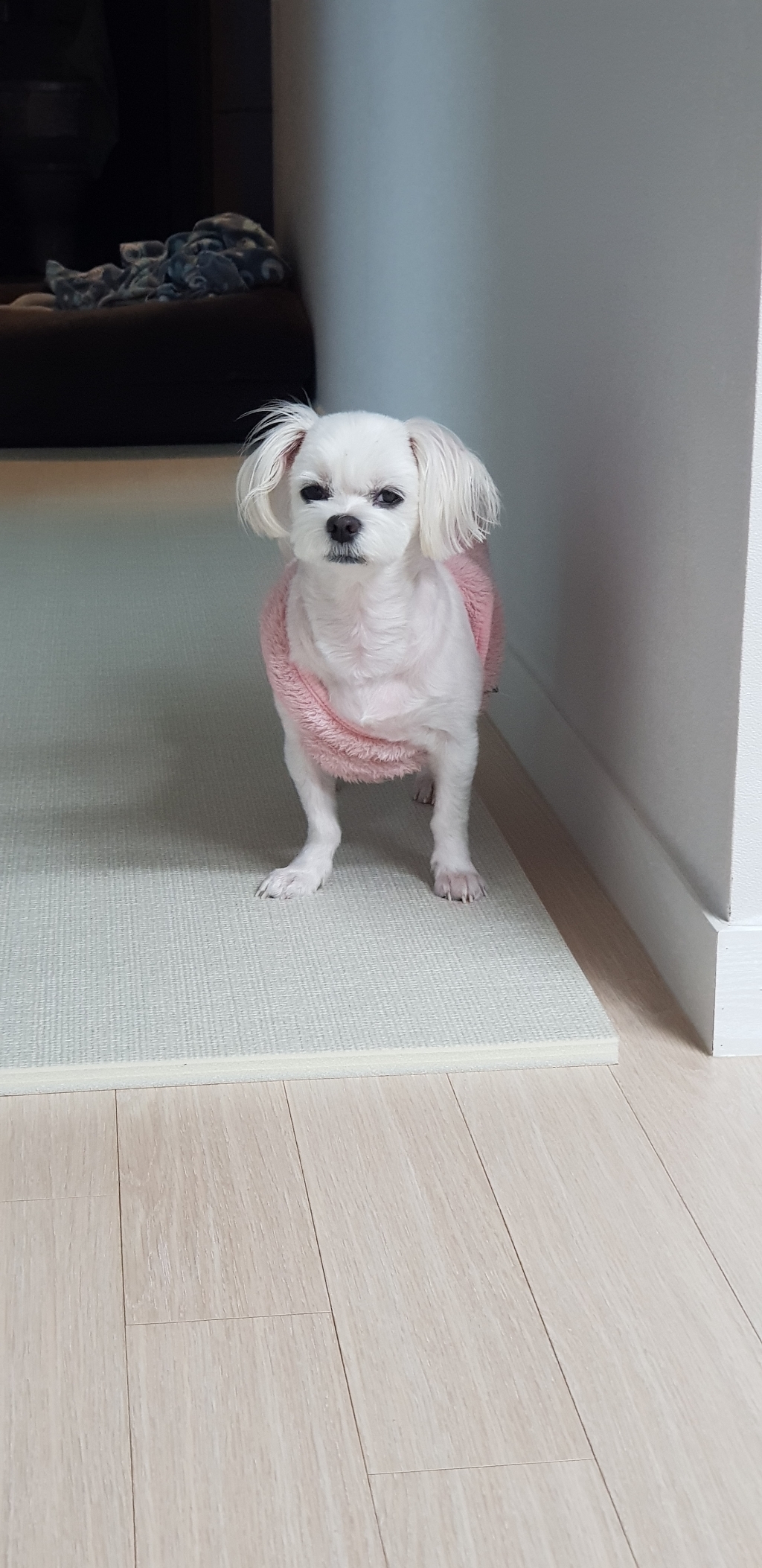 아가드 사뿐 PVC 유아 놀이방 매트 리뷰후기