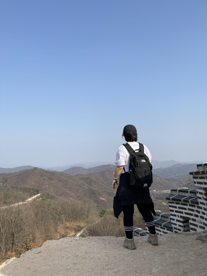 비컨셉트 무지 기본 면 20수 라운드 레이어드 반팔 티셔츠