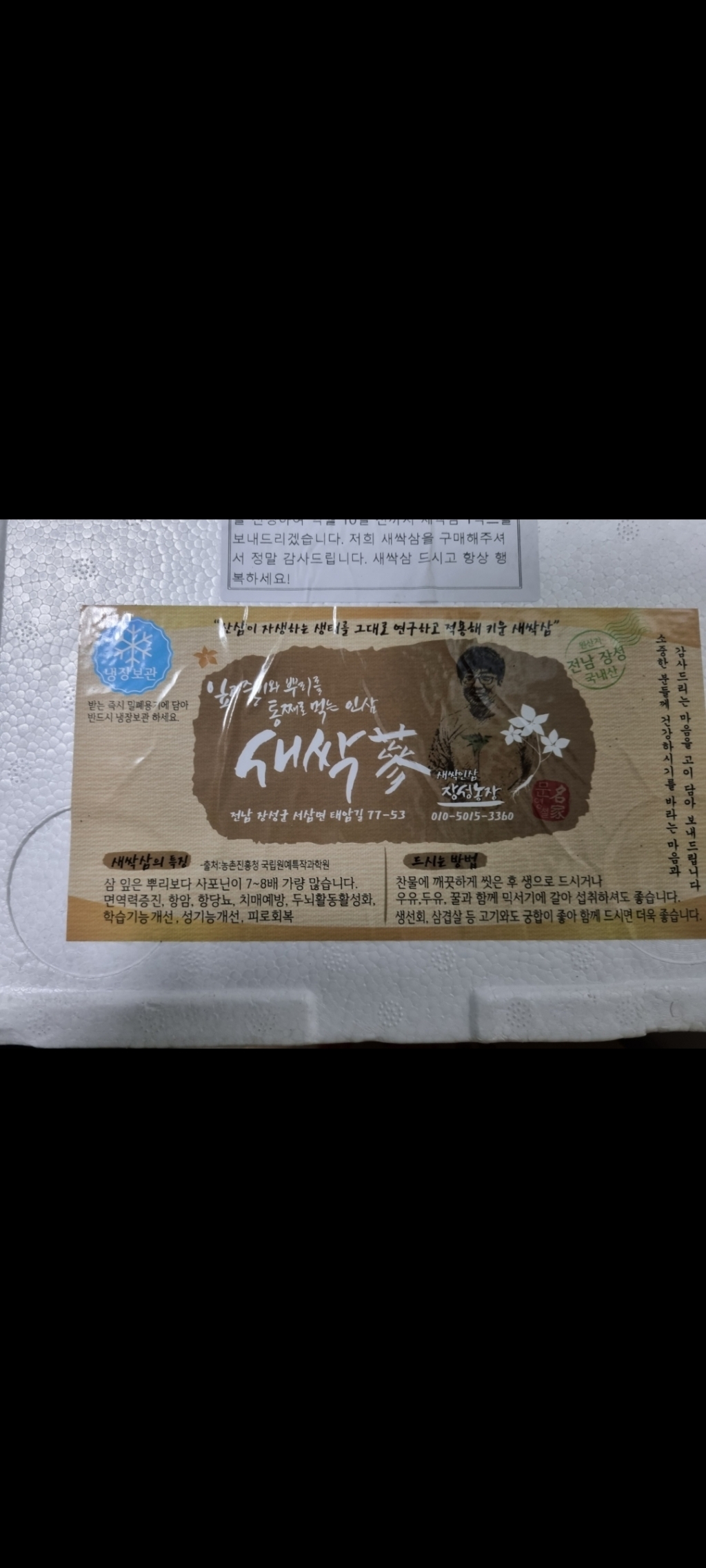 새싹삼 재배세트 인삼 키우기 40뿌리 외