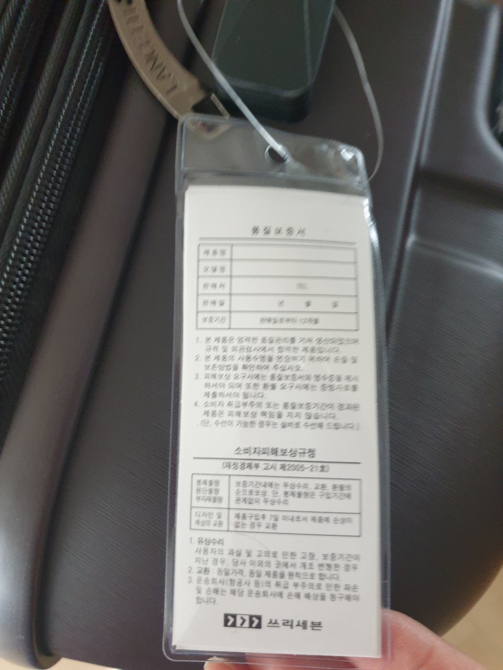 란체티 피노 캐리어 리뷰 후기