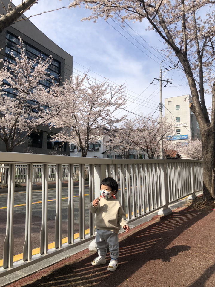 뚱이날다 뉴트로스판팬츠 -추천! 스판좋아요! 리뷰후기