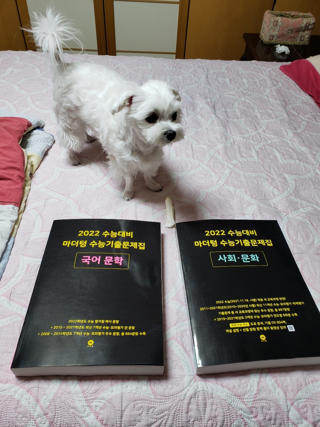 2022 수능대비 마더텅 수능기출문제집 사회 문화 리뷰후기