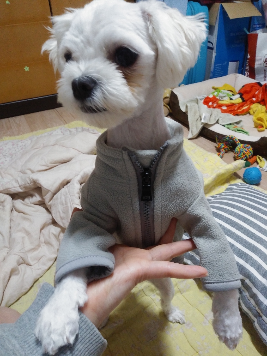 도그아이 강아지옷 후리스