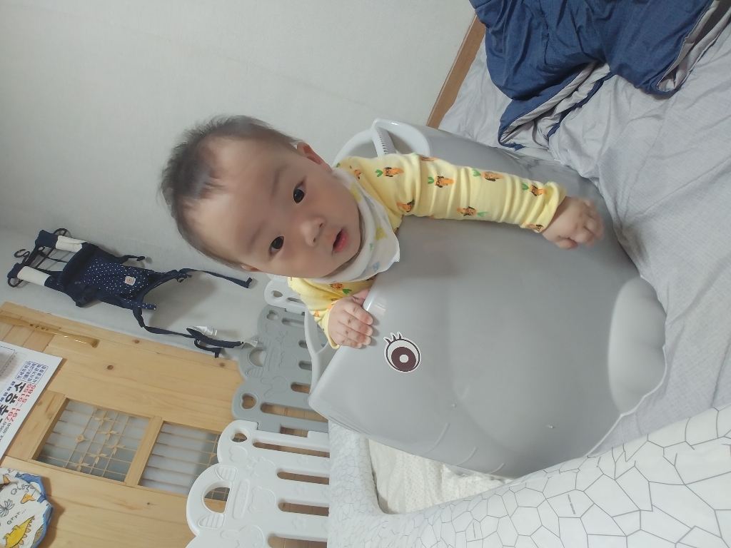 파파스토이 코끼리 아기 욕조