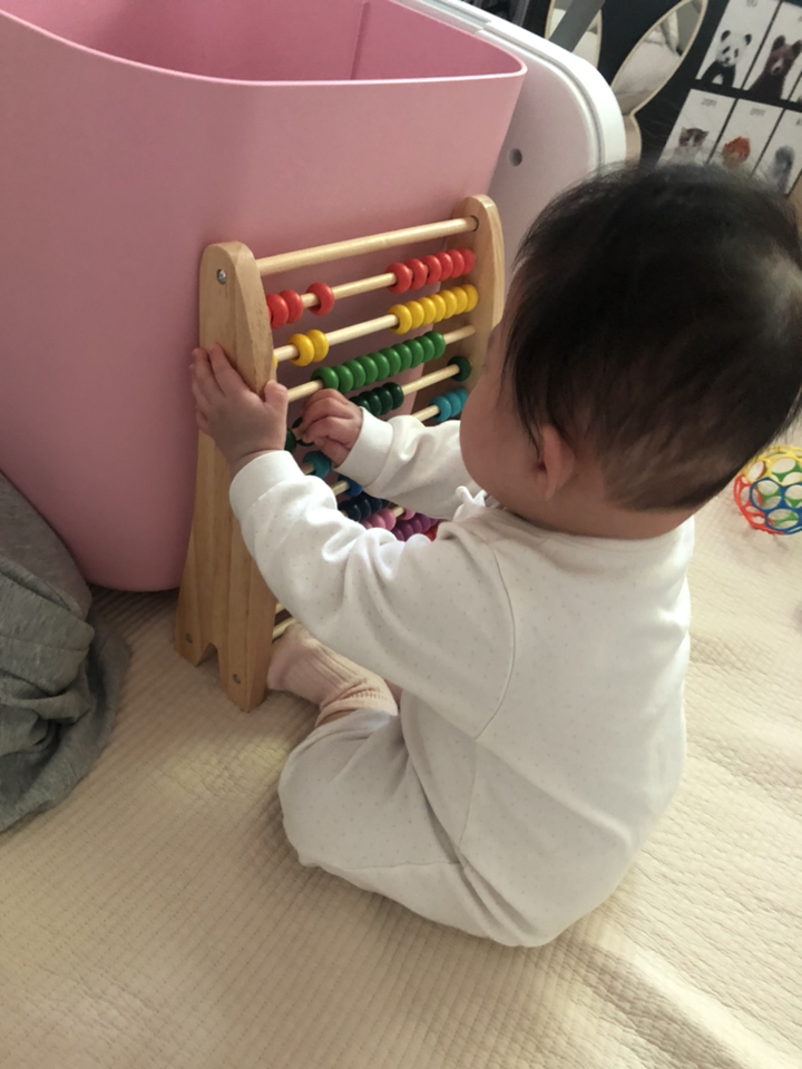 토도리브로 원목교구 12종