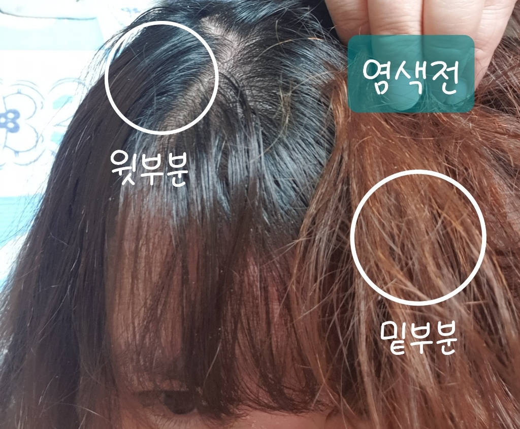 로레알파리 엑셀랑스 크림 염색제 리뷰후기