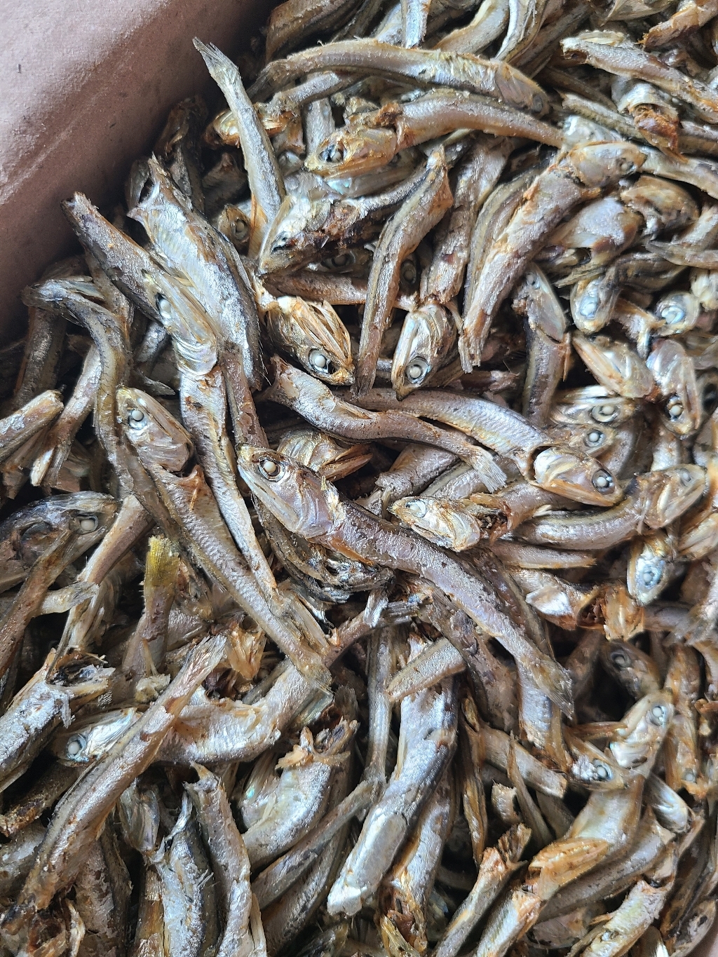 밥상애 국내산 남해안 여수멸치 대멸 육수멸치 국물멸치 다시멸치 국내멸치 대멸치 건멸치 마른멸치 1