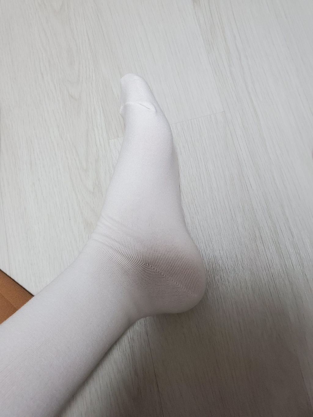코지라벨 여성용 무지 베이직 니삭스 5족