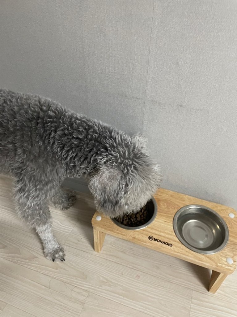 이볼브 그레인프리 강아지 사료 연어