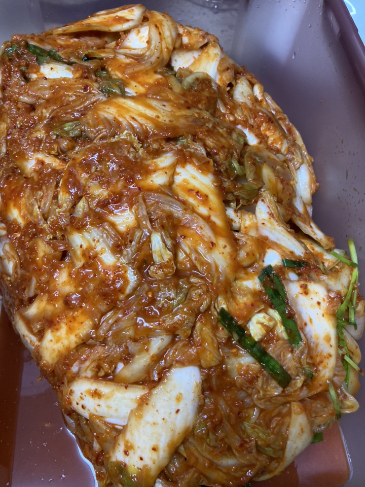 남도김치 국산 겉절이