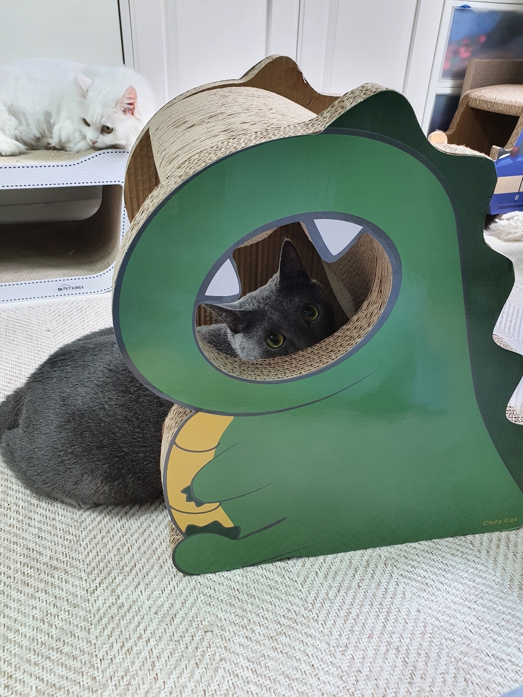 오케이펫코리아[COZYCAT] 공룡 스크래쳐 하우스형