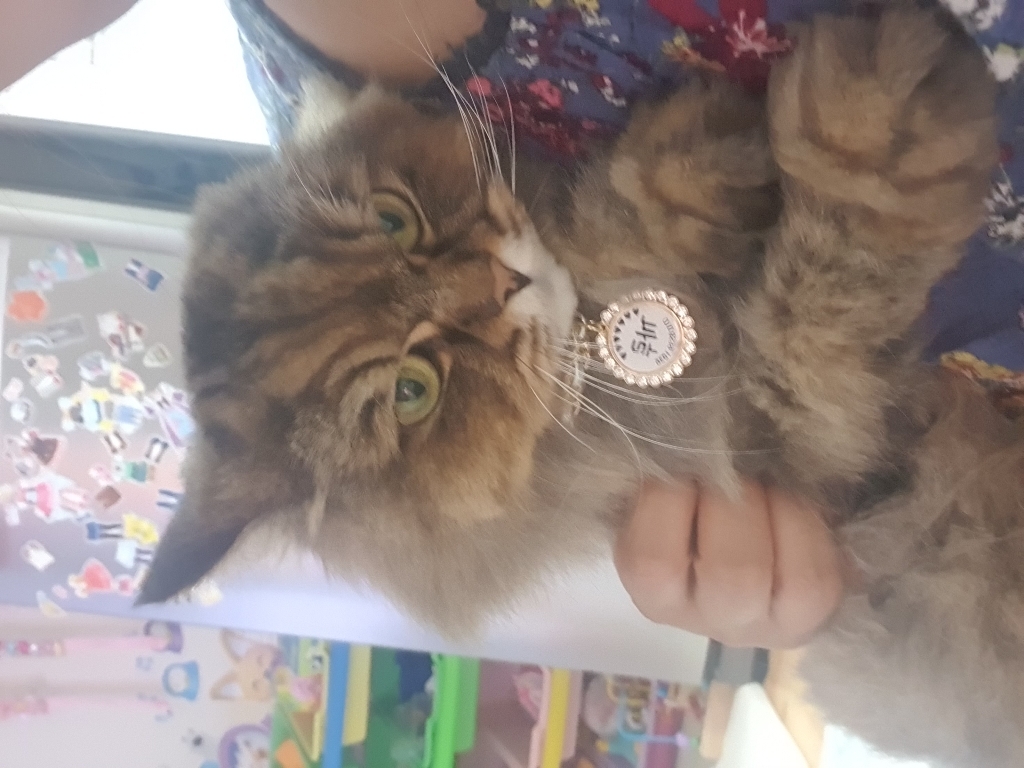 [앤디스크래프츠] 예쁘고 럭셔리한 강아지 고양이 인식표 목걸이