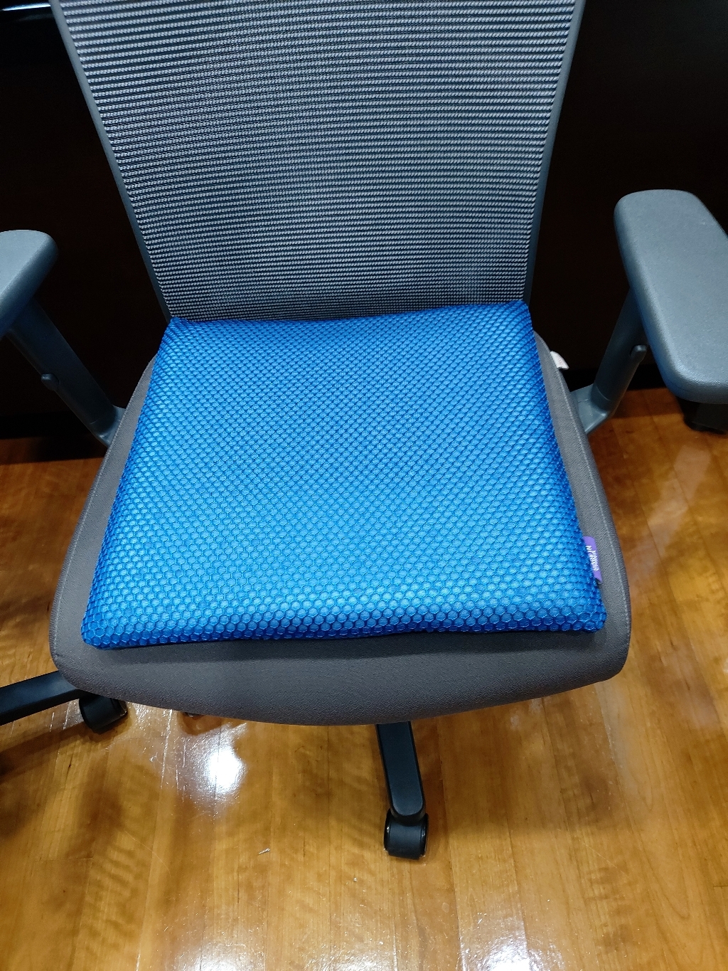 다니카 사각 메모리폼 방석 높이