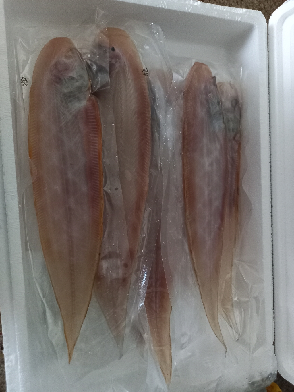 [산지직송]군산박대서대 반건조 생선구이 박대810마리 박대서대