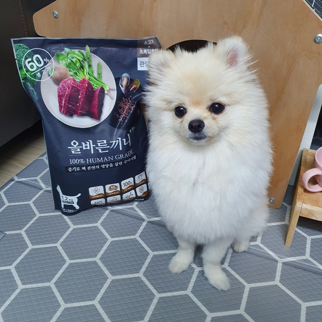 올바른끼니 전연령용 소고기 초록잎홍합 관절강화 강아지 소프트사료 1.2kg 리뷰 후기