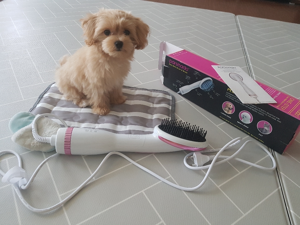 arr 반려동물 전동 헤어 빗 드라이어 저소음 강아지 고양이 겸용 털관리 브러쉬 건조기 쾌속건조 핸드형