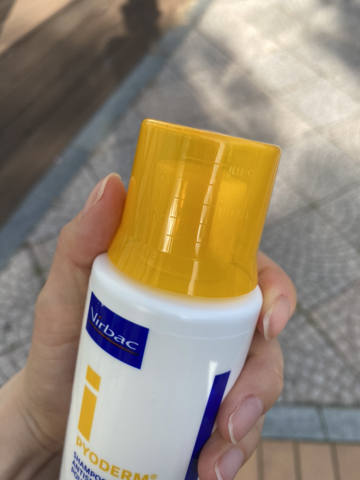 버박 파이오덤 반려동물 약용샴푸