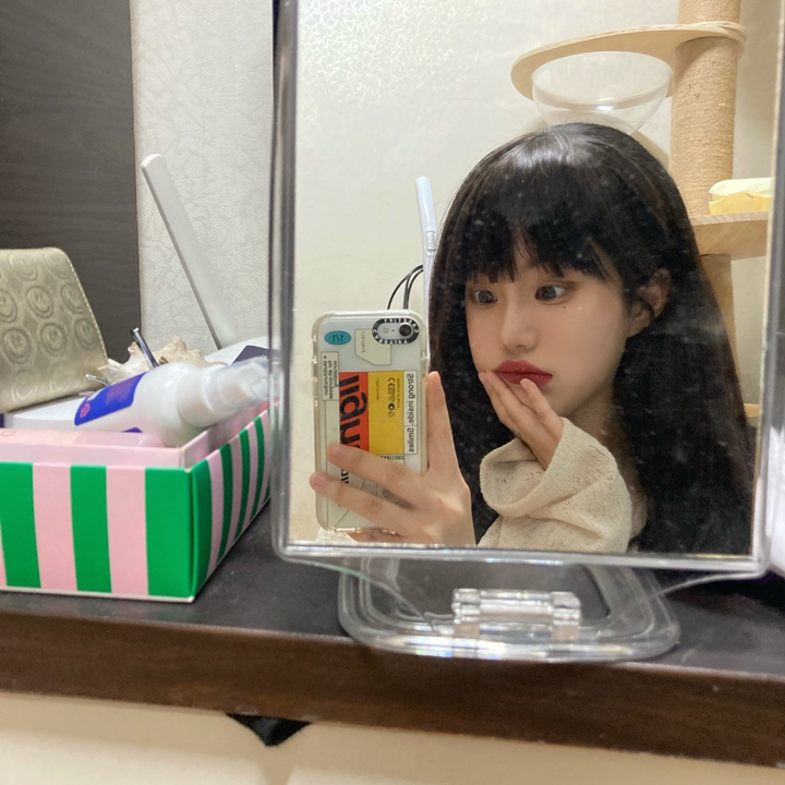 가발나라 여성용 형상기억 인모 풀뱅 앞머리 가발