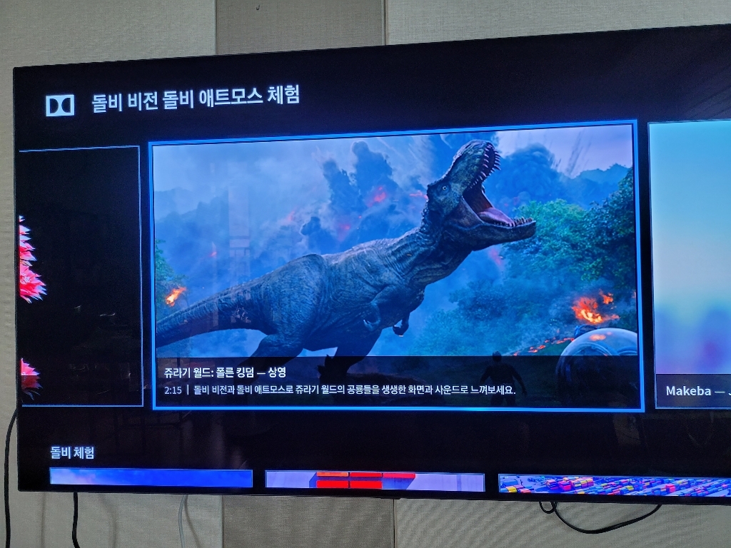 전자 4K UHD OED  TV OED55BXFNA